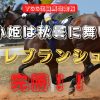 白面小姫は秋曇に舞い遊ぶ　トレブランシュ、完勝！！
